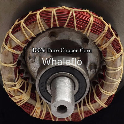 Whaleflo 220v Ac 60LPM Diesel Fuel diesel Gear Oil Pump 220v for fueling diesel and kerosene