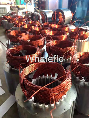 Whaleflo 220v Ac 60LPM Diesel Fuel diesel Gear Oil Pump 220v for fueling diesel and kerosene