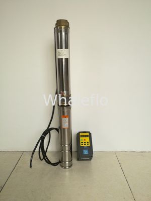 Whaleflo Farmland Irrigation Solar Pump 180W 5ton/Hour Solar DC Irrigation Water Pump Sand Resistant