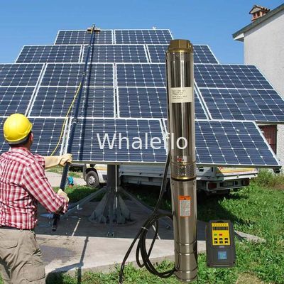 Whaleflo Farmland Irrigation Solar Pump 180W 5ton/Hour Solar DC Irrigation Water Pump Sand Resistant