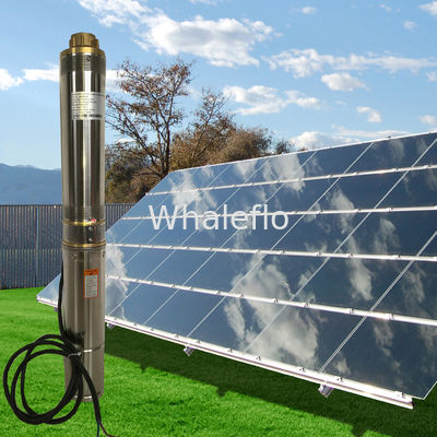 Whaleflo Farmland Irrigation Solar Pump 180W 5ton/Hour Solar DC Irrigation Water Pump Sand Resistant