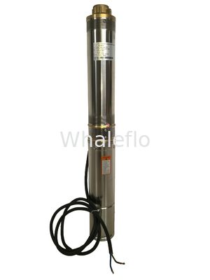 Whaleflo Farmland Irrigation Solar Pump 180W 5ton/Hour Solar DC Irrigation Water Pump Sand Resistant