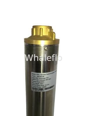 Whaleflo Farmland Irrigation Stainless Steel Solar Pump 250W 5ton/Hour Solar DC Irrigation Water Pump Sand Resistant