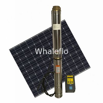 Whaleflo 3SH2.5/5-0.18 Stainless Steel solar powered submersible deep well water pumps 180W 2.5ton/H