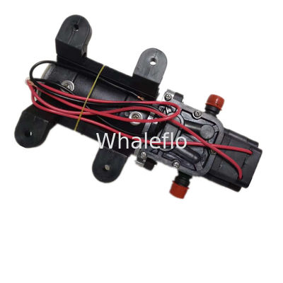 Whaleflo 12v dc 6lpm 4.1bar mini portable water pressure car wash machine pump