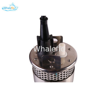 Whaleflo 24V dc solar water pump dc solar submersible pump with lift rate 100m and flow rate 12L/M for irrigation