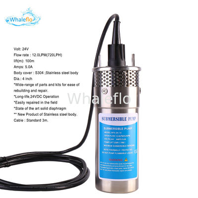Whaleflo 24V dc solar water pump dc solar submersible pump with lift rate 100m and flow rate 12L/M for irrigation