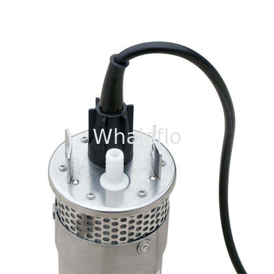 Whaleflo 100m 720LPH small solar electric submersible water pump for irrigation