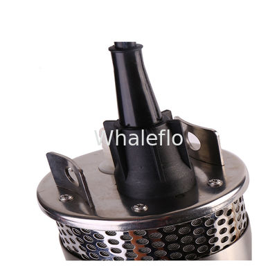 Whaleflo 720LPH 12V DC high quality portable deep well submersible solar water pump system