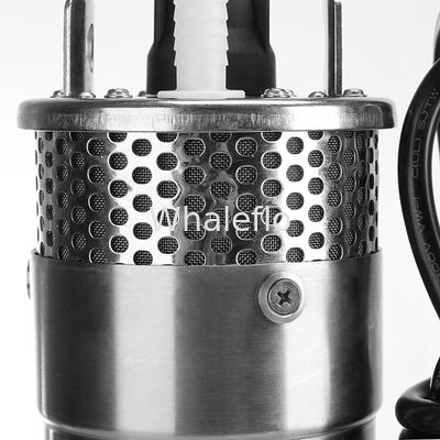Whaleflo 720LPH 12V DC high quality portable deep well submersible solar water pump system