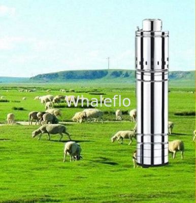 Whaleflo bldc solar submersible water pump for deep well 300W outlet port 1 inches maxi flow 3T/H