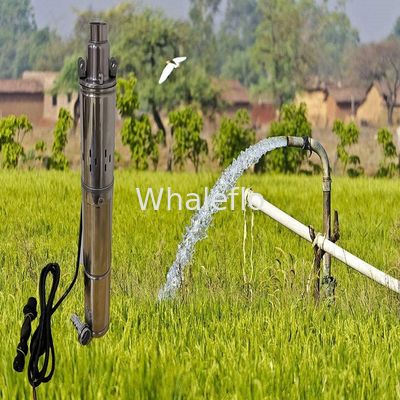 Whaleflo bldc solar submersible water pump for deep well 300W outlet port 1 inches maxi flow 3T/H