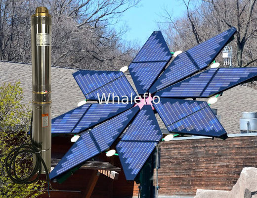 Whaleflo3SH1.5/14-0.37 Stainless Steel solar powered Brushless submersible deep well water pumps 370W rated flow1.5ton/H