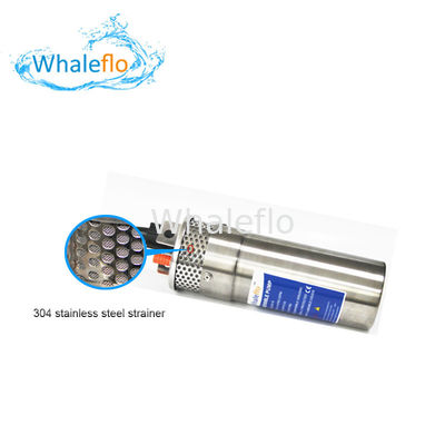 Whaleflo WEL2460-30 24V 12LPM Max Lift 100 M 5.0 A DC Solar Powered Submersible Water Pump System For Farm Irrigation
