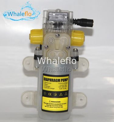 Whaleflo 70W 12/24v dc Food Grade Diaphragm Water Pump for Wine Milk Self-priming Booster Pump with Automatic Switch