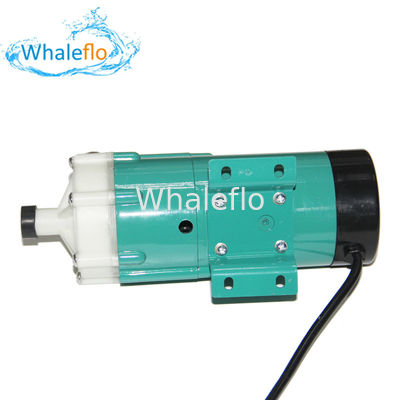 Whaleflo Self Priming AC/DC Magnetic Drive Pump Chemical Circulating Pump
