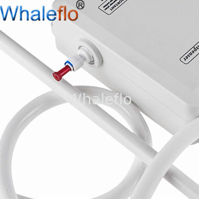 Whaleflo BW series 5 gallon water pump bottle dispenser system double duel 110V/230V white color