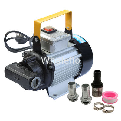Whaleflo Electric Driven Self-Priming DC 12V Alligator Clamp Connections Portable Fuel Transfer Kit