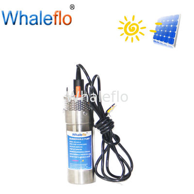 Whaleflo High efficiency 12LPM 24V DC Solar Water Pump  with CE certificate