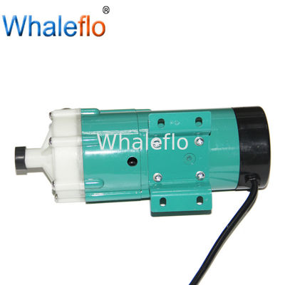Whaleflo  AC 110/230V Homebrew Circulation Electrical Mini Magnetic Water Pump for Beer