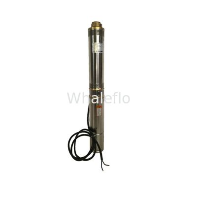 Whaleflo 2T/H Dc Motor 24V Household Solar Powered Submersible Centrifugal Water Pumps Pond Water Pump