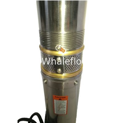 Whaleflo 2T/H Dc Motor 24V Household Solar Powered Submersible Centrifugal Water Pumps Pond Water Pump