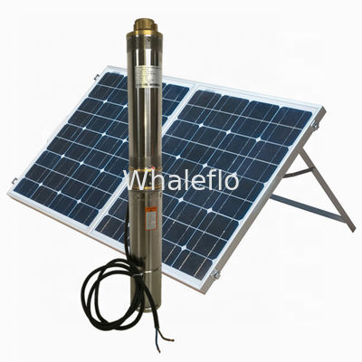 Whaleflo 2T/H Dc Motor 24V Household Solar Powered Submersible Centrifugal Water Pumps Pond Water Pump