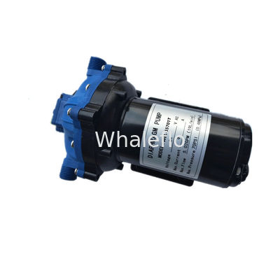 Whaleflo 5.5GPM 20 LPM 60PSI Pressure Diaphragm 12V Water Pump for RV Caravan Boat Camping AU