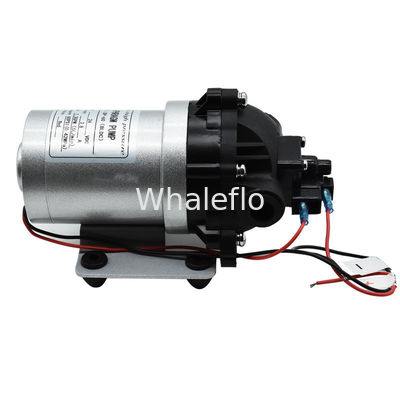 Whaleflo 24V DC Brushless 5Lpm Self Priming Diaphragm Water Pump For RV Water Supply Soutions