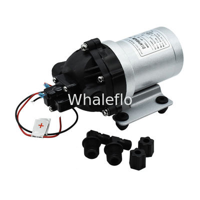 Whaleflo 24V DC Brushless 5Lpm Self Priming Diaphragm Water Pump For RV Water Supply Soutions