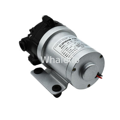 Whaleflo 24V DC Brushless 5Lpm Self Priming Diaphragm Water Pump For RV Water Supply Soutions