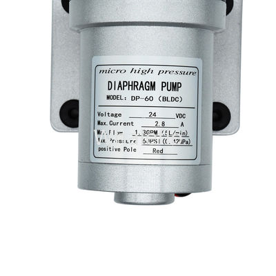 Whaleflo 24V DC Brushless 5Lpm Self Priming Diaphragm Water Pump For RV Water Supply Soutions