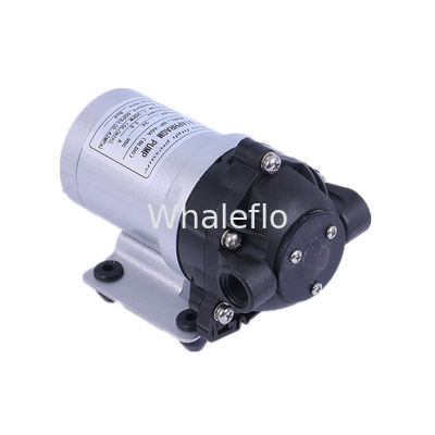 Whaleflo 24V DC 60PSI 5LPM Brushless Self-Priming Household water supply Diaphragm Water Pump