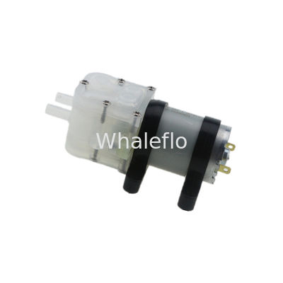 Whaleflo 12V Mini Food Grade Humidifier Landscape Circulating Spray Coffee Soft Drink Water Pump