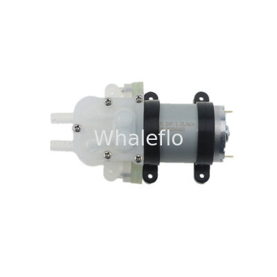 Whaleflo 12V Mini Food Grade Humidifier Landscape Circulating Spray Coffee Soft Drink Water Pump
