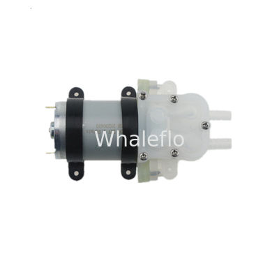 Whaleflo 12V Mini Food Grade Humidifier Landscape Circulating Spray Coffee Soft Drink Water Pump