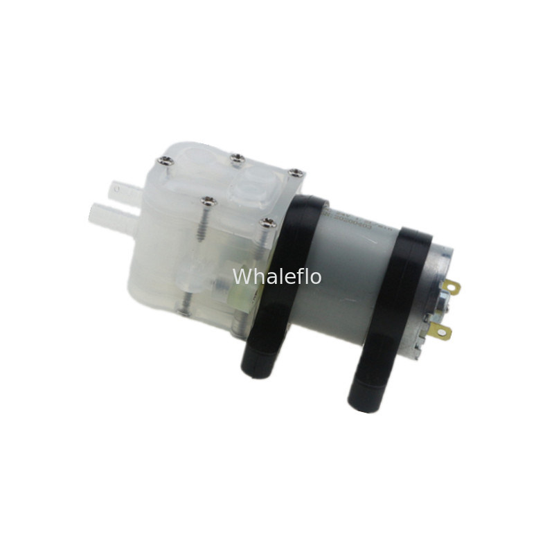 Whaleflo 12V Mini Food Grade Humidifier Landscape Circulating Spray Coffee Soft Drink Water Pump